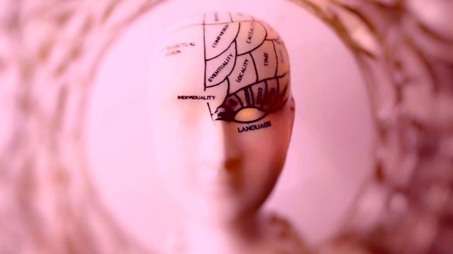 Symboldbild Neuro-Leadership